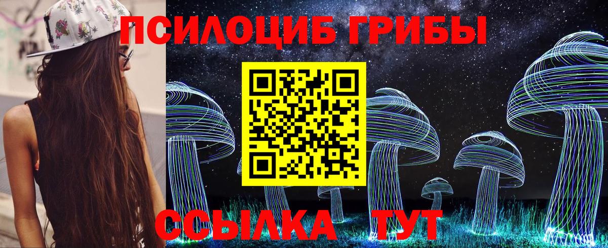 Псилоцибиновые грибы MAGIC MUSHROOMS  Вход с VPN  Рассказово 