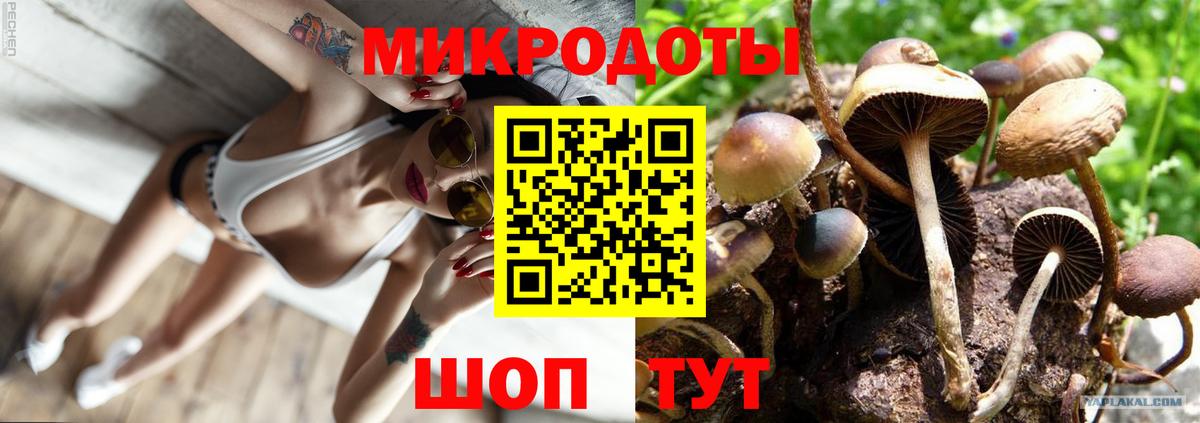 Псилоцибиновые грибы мицелий Рассказово